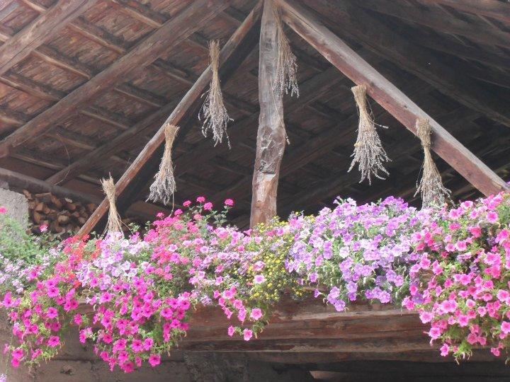 B&B Casa Brunelli Trento Dış mekan fotoğraf