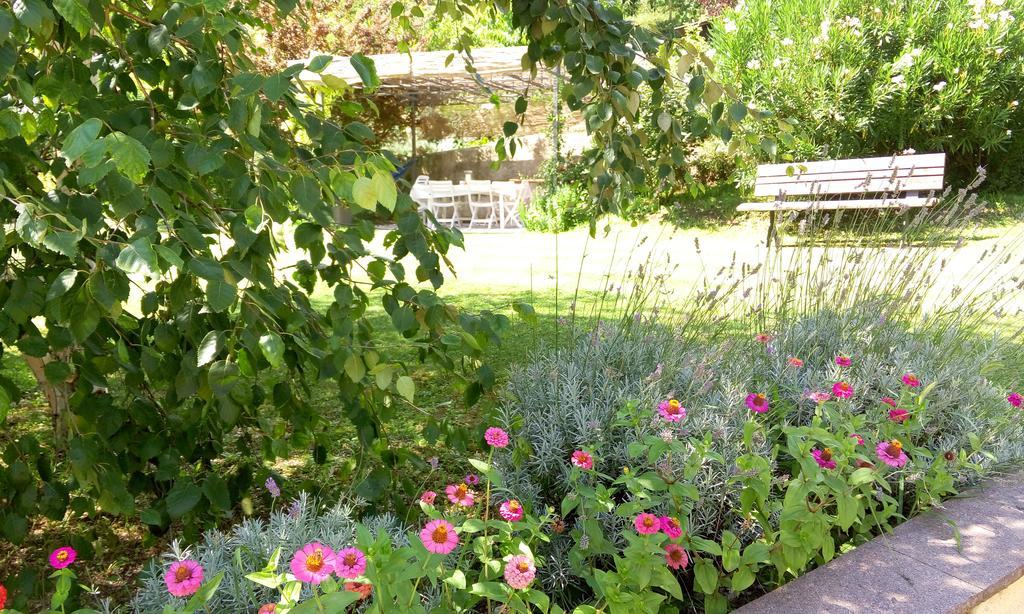B&B Casa Brunelli Trento Dış mekan fotoğraf