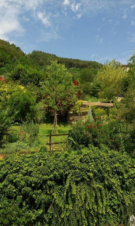 B&B Casa Brunelli Trento Dış mekan fotoğraf